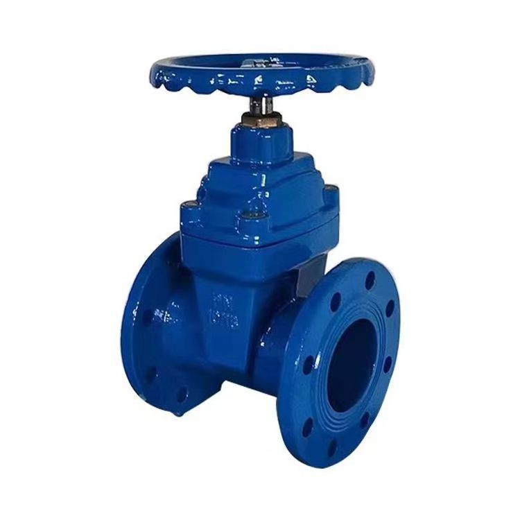 F4 Gate Valve DIN3352 DN125 GGG50 Liquid Double Flanged Gate Valve