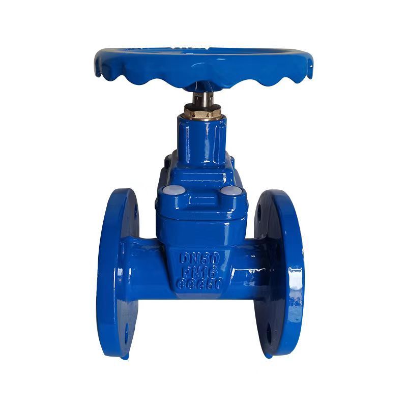 F4 Gate Valve DIN3352 DN125 GGG50 Liquid Double Flanged Gate Valve