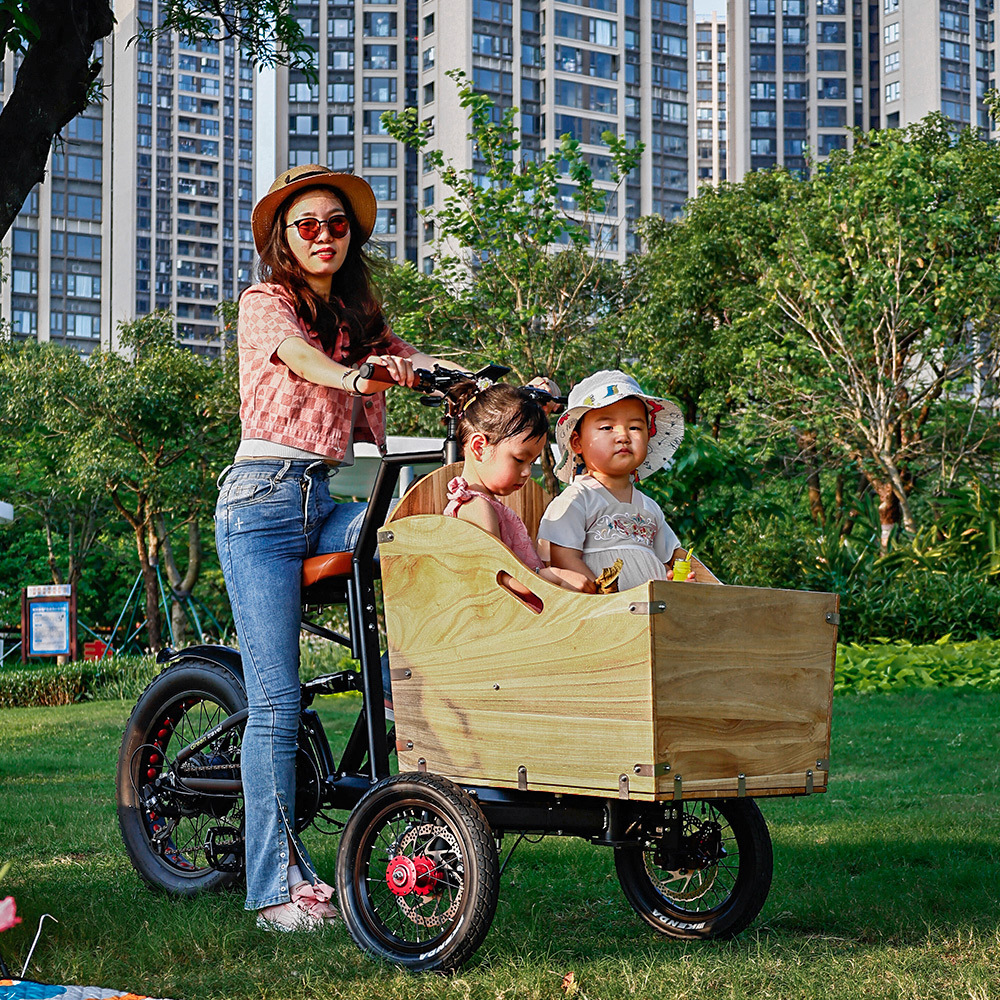 electric tricycle adults/ assist electric bike OEM Customize Factory price electric trike three wheels