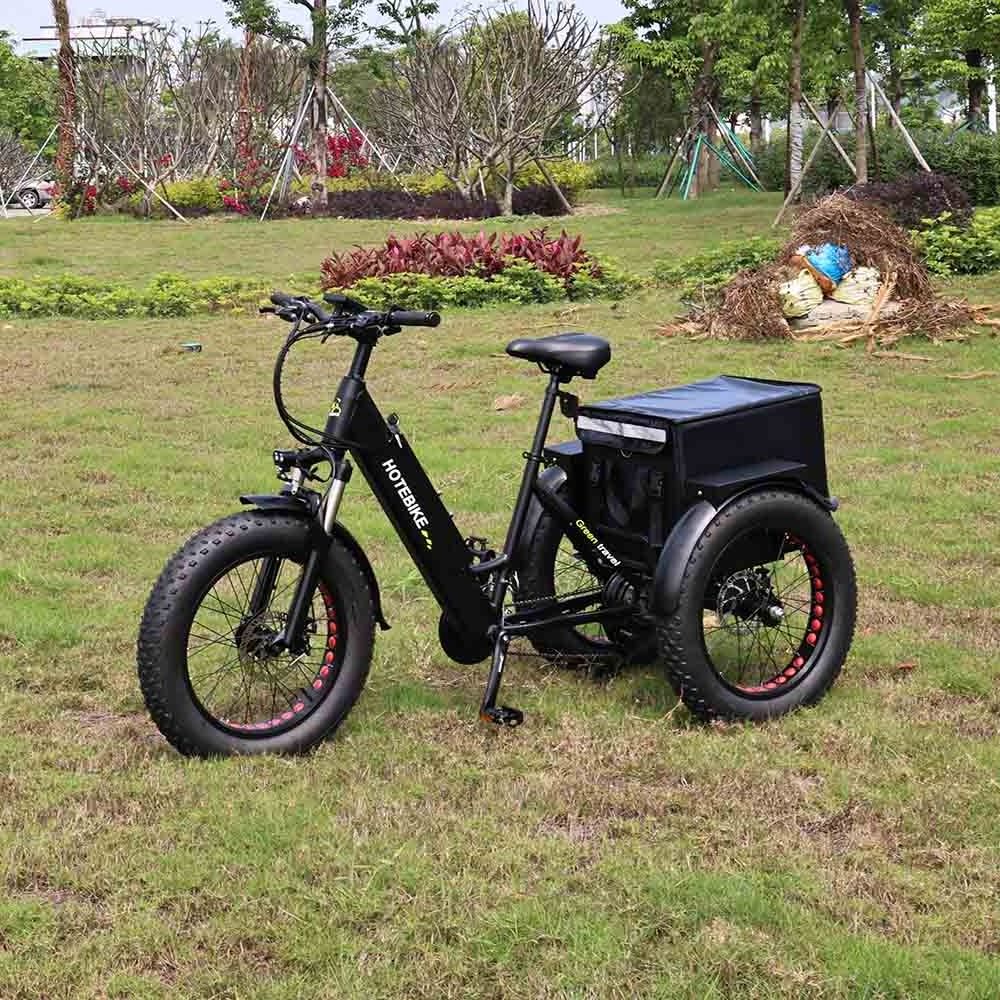 Wholesale 3 wheel ET500 cargo 20 inch three wheels adult electric cargo bike 48V 500W motor fat tire cargo ebike