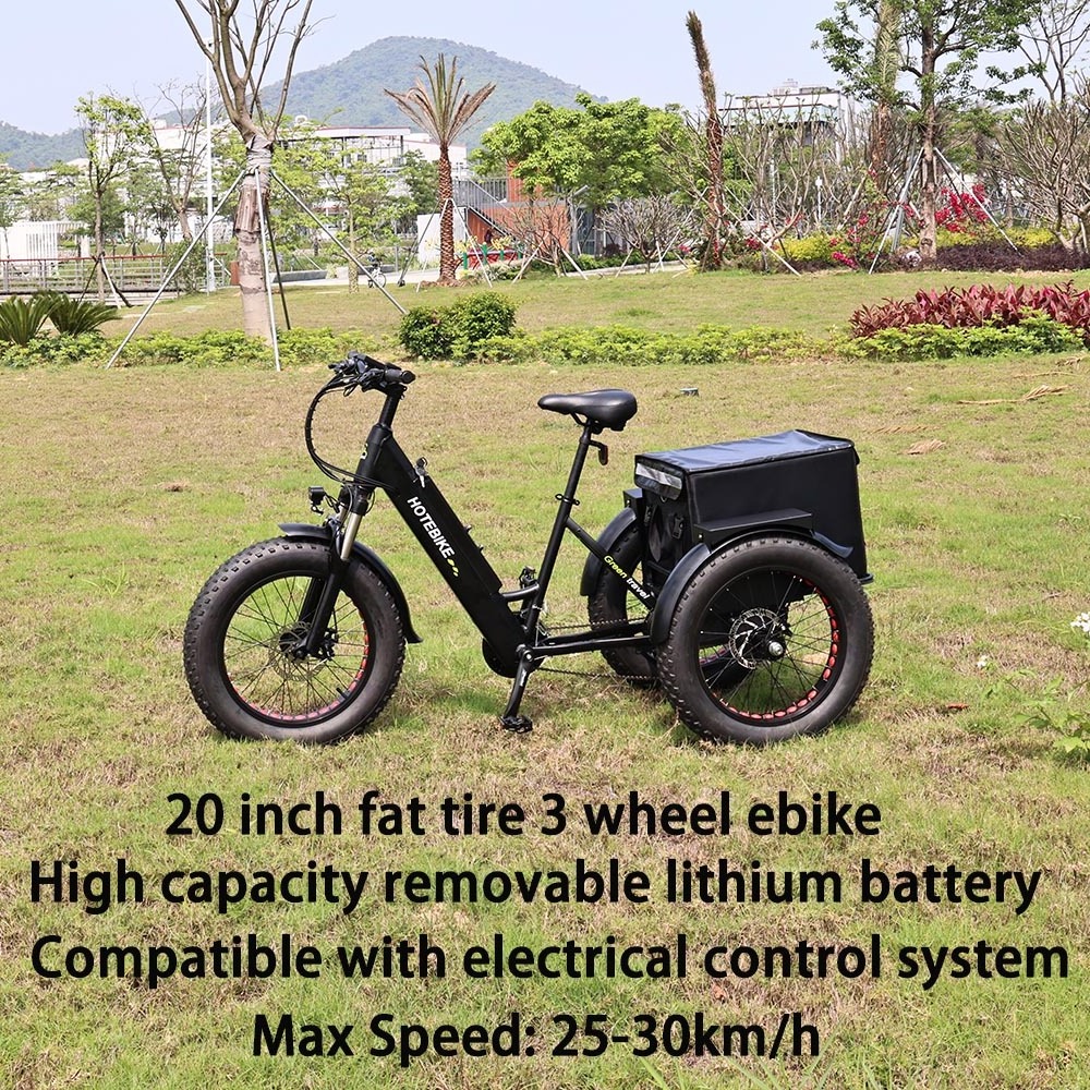 Wholesale 3 wheel ET500 cargo 20 inch three wheels adult electric cargo bike 48V 500W motor fat tire cargo ebike