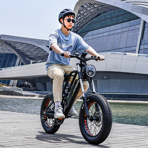 750w electric fatbike 20inch fat tire beach cruise 1000w ebike 36V 48V 250W 350W 500W electric mountain bike