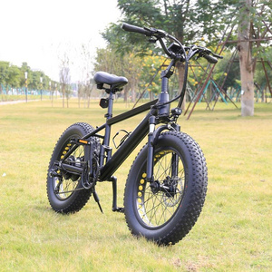 20 inch fat tire 500w electric bike electronic 21speed 36v 48v fat ebike for adults two wheels 250w 350w 750w 1000w