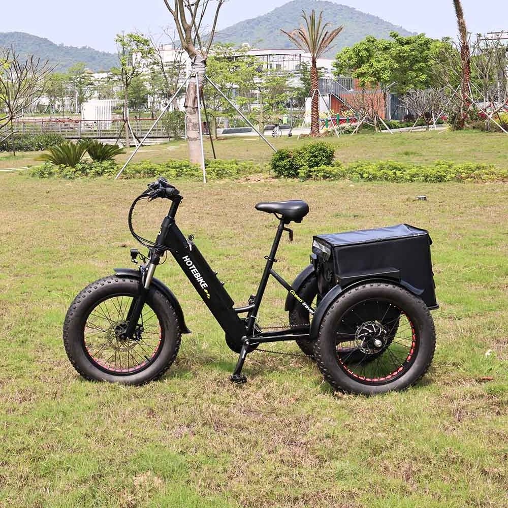 Wholesale 3 wheel ET500 cargo 20 inch three wheels adult electric cargo bike 48V 500W motor fat tire cargo ebike