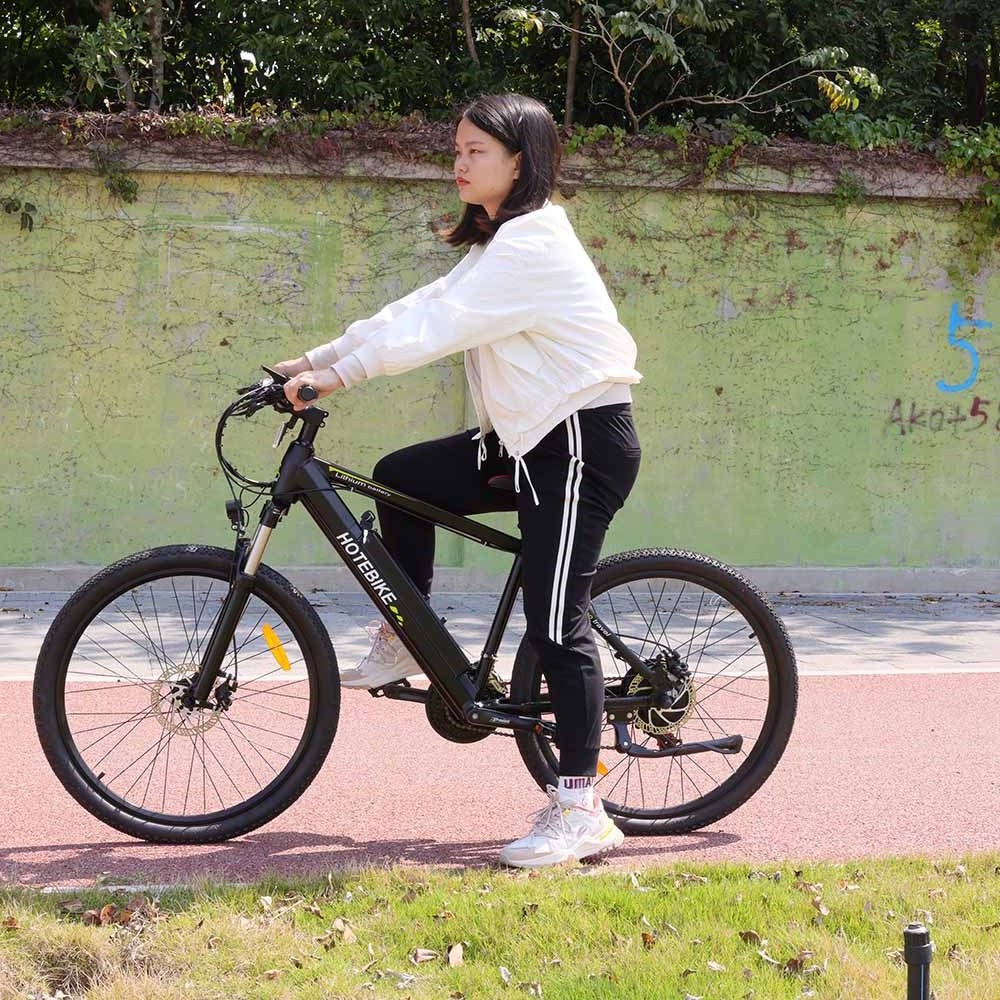 Road E-BIKE Technology Enduro Electric Bike Frame 48V 500W 750W Motor Stealth Bomber Ebike bicycle electric bike