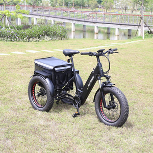 Wholesale 3 wheel ET500 cargo 20 inch three wheels adult electric cargo bike 48V 500W motor fat tire cargo ebike