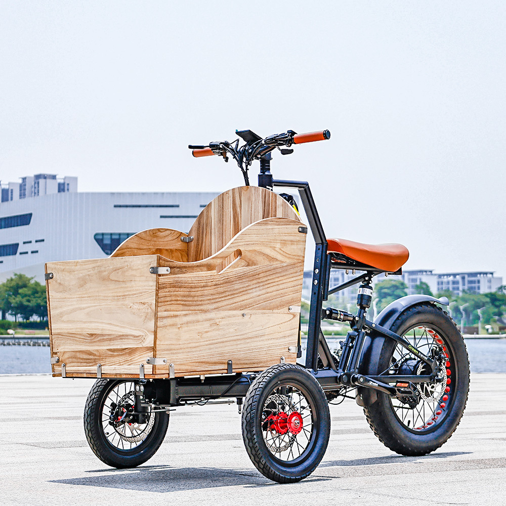 electric tricycle adults/ assist electric bike OEM Customize Factory price electric trike three wheels