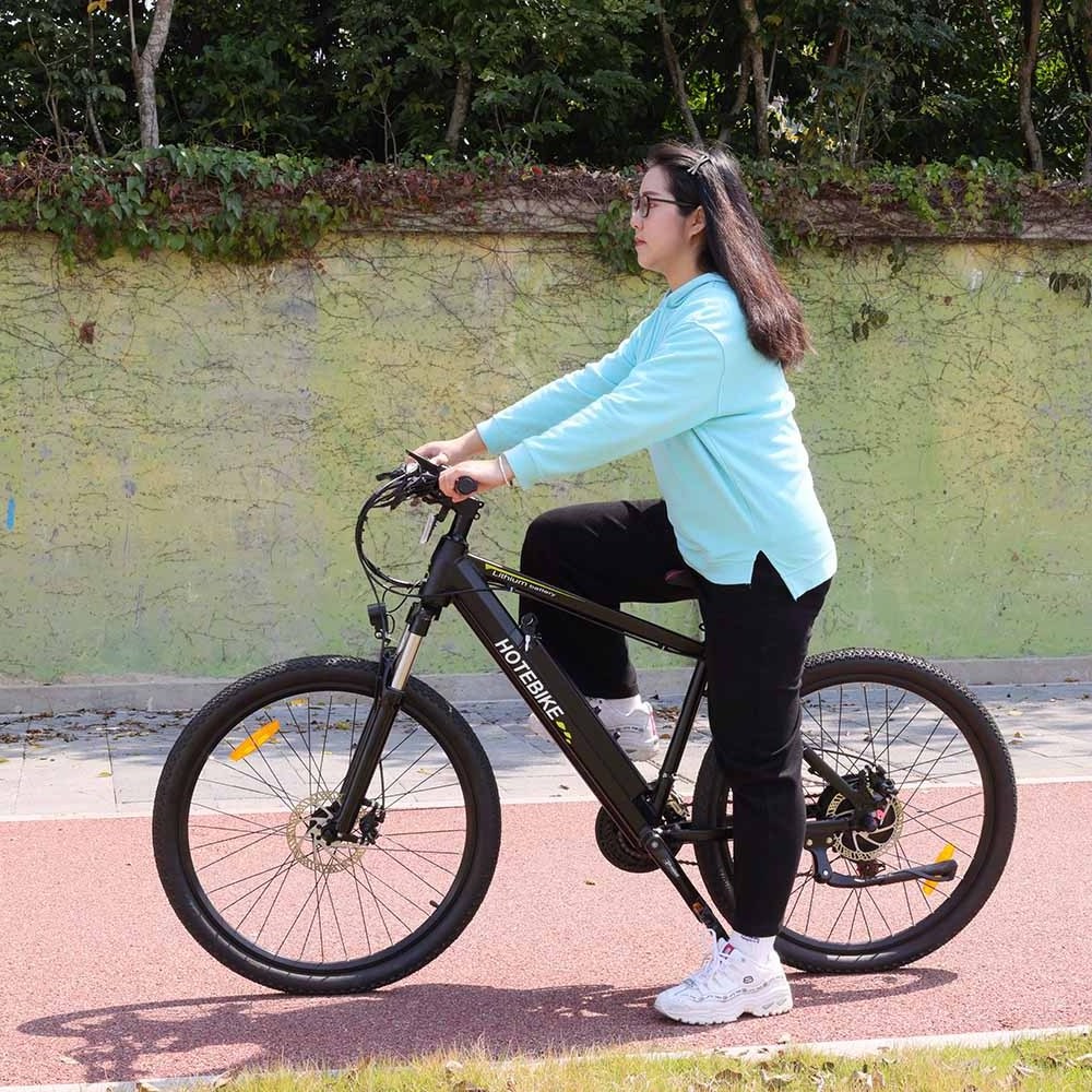 Road E-BIKE Technology Enduro Electric Bike Frame 48V 500W 750W Motor Stealth Bomber Ebike bicycle electric bike