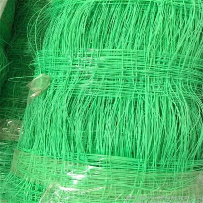 Vegetable Plant Climbing Net Cucumber Net