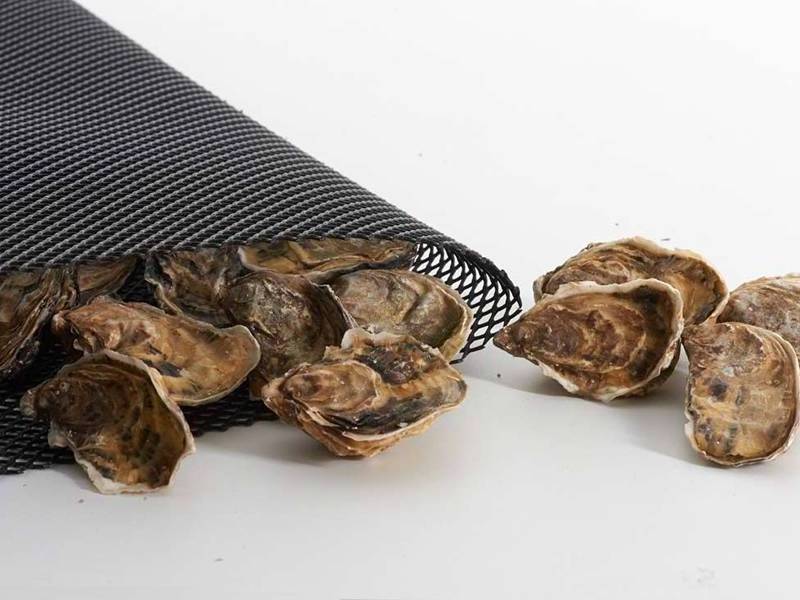 Floating OEM size oyster growing out mesh bags and cages