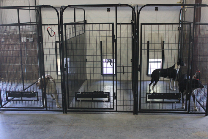 4' X 4' Inside 4' X 6' Outside Multiple Standard Dog Kennels x3