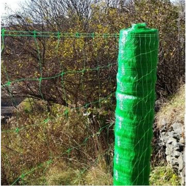 Vegetable Plant Climbing Net Cucumber Net