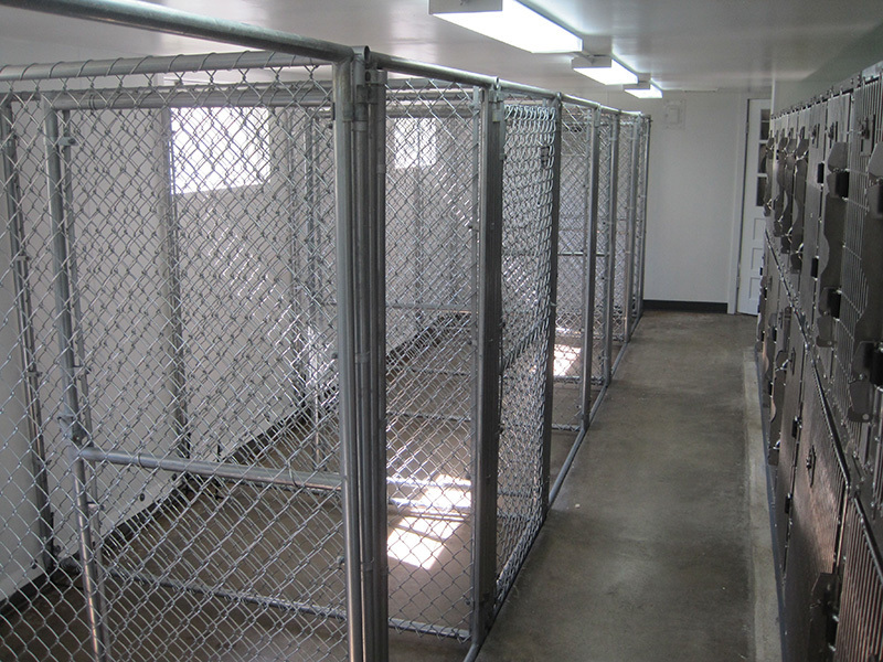 4' X 4' Inside 4' X 6' Outside Multiple Standard Dog Kennels x3