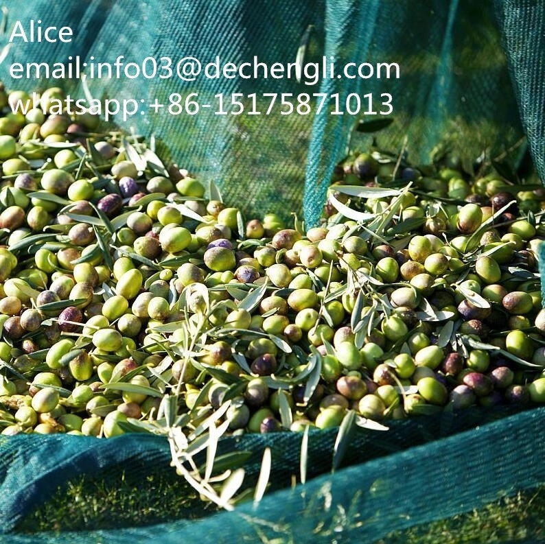 HDPE green color olive netting, harvest net, olive collect net