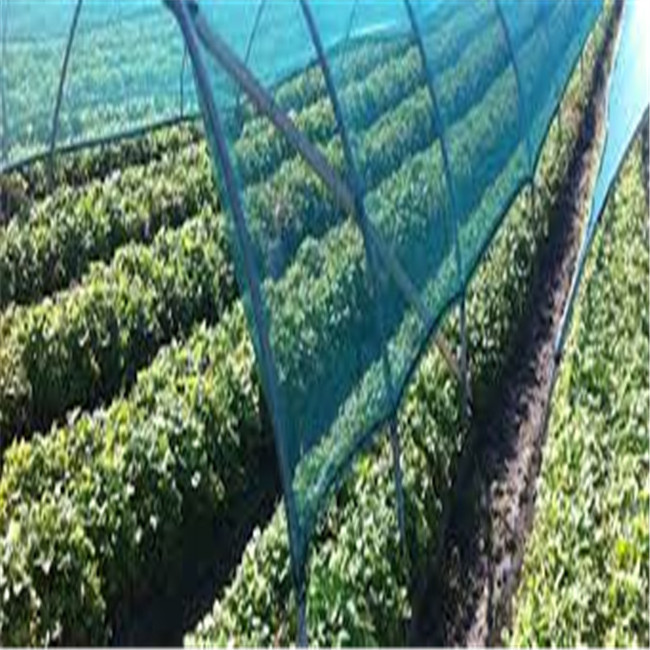 100% HDPE Shade Net/Agricultural Shade Net/Vegetable Shade Net