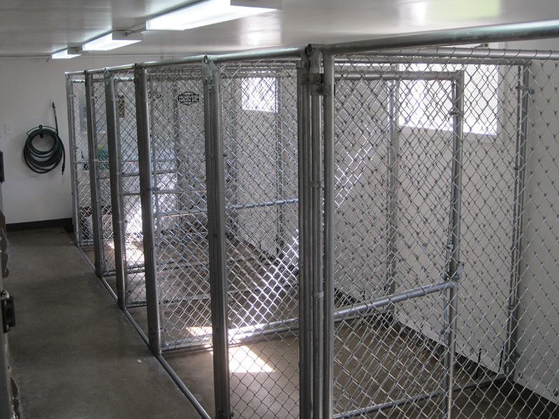 Wholesale Pet Cages Dog Enclosure  Chain Link Dog Kennel