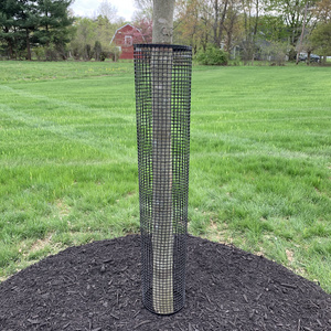 Different types of tree guards for tree protection