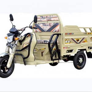 Ghana adult  passenger 48v electric bike three wheels Rickshaw Electric Tricycle