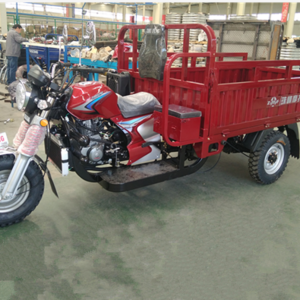 2019 China gasoline  cargo tricycle 300cc tricycle agricultural handicapped motorcycle