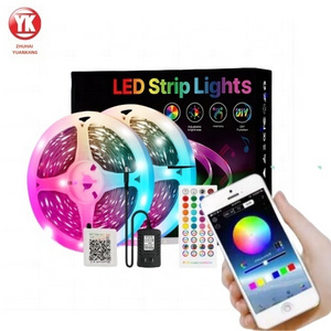 Customized Lighting 12V 24V IR Control Indoor Waterproof IP20 IP65 5m 10m 15m 20m SMD 5050 RGB Smart Led Strip Light Room Decor