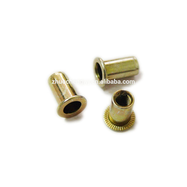 All kind hexagon rivet nuts flat head knurled rivet nuts with high quality