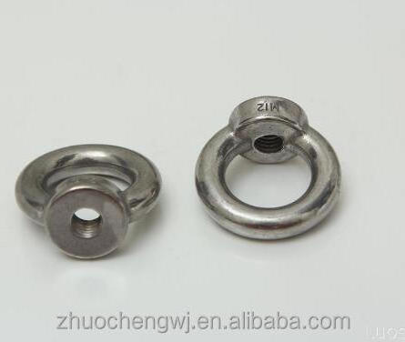 High Polished Stainless Steel AISI304 AISI316 DIN580 Lifting Metric Eye Bolts M8