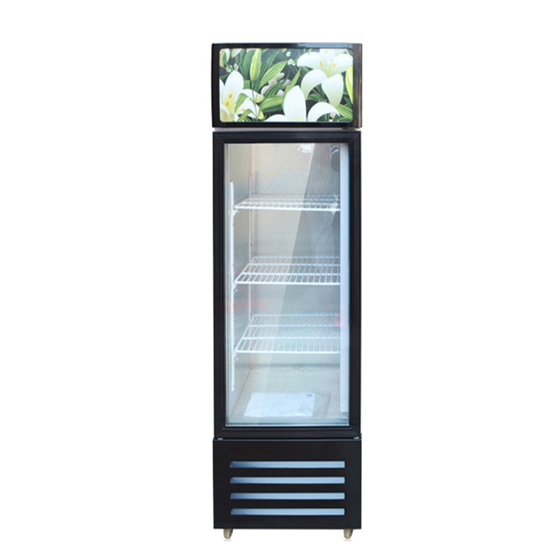 Bar vertical slim cooler display pepsi freezer stand showcase freezer