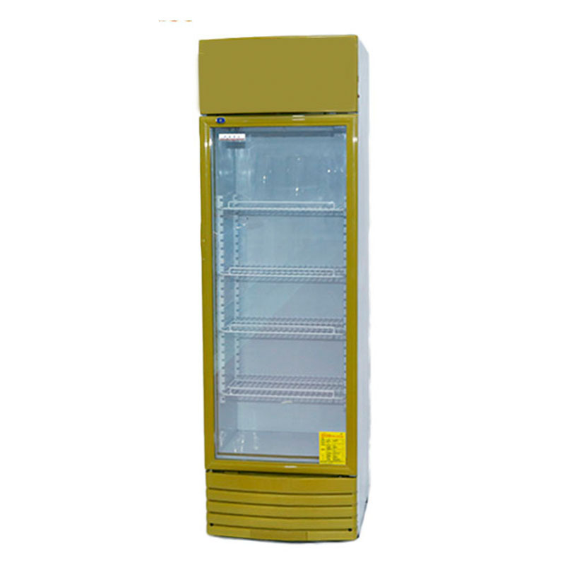 Vertical bar soda display fridge standing beer display cooler cold drinks and pepsi display fridge