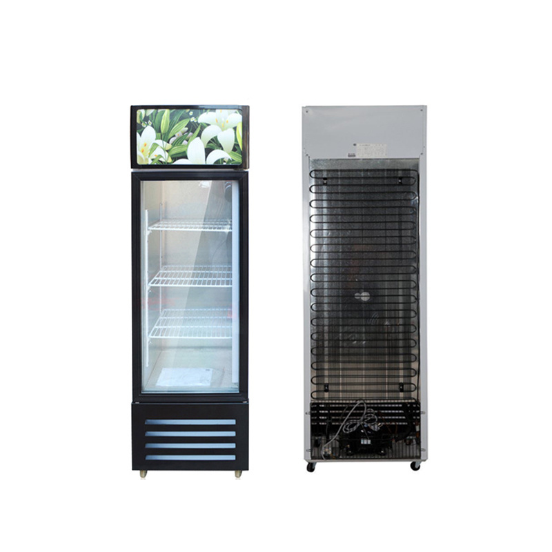 Beer upright cooler cold drinks glass doors vertical display fridge