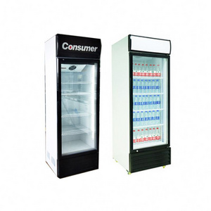 New Product Single Glass Door 300L Display Red Bull Fridge Refrigerator