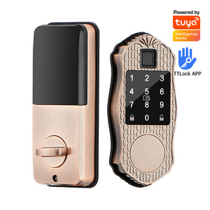 Tuya APP TTLOCK Smart Deadbolt Keypad Lock without Handle for Interior Entrance Door With Alexa Google Assistant