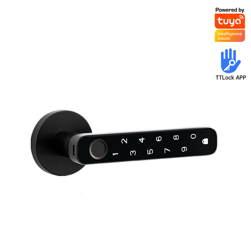 Biometric Keyless Entry Door Handle Fingerprint Door Lock Smart Door Lock for Home Apartments Office Hotel