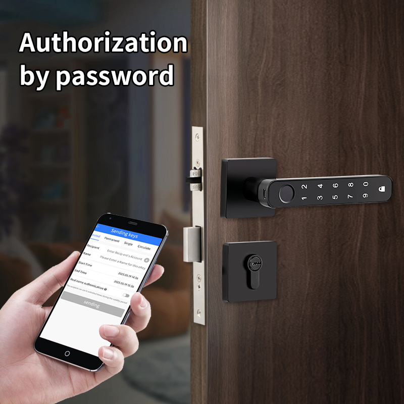 Security BLE TTlock APP Door Lock Electronic Code Smart Fingerprint Handle Lock for Condo Airbnb Apartment