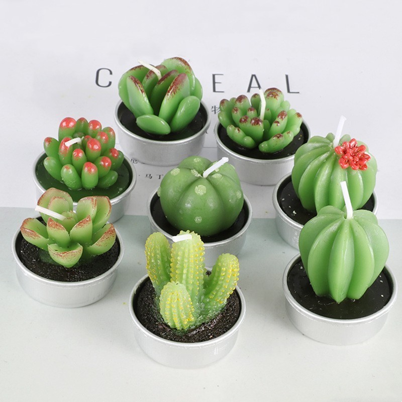 Best price 6 Pcs Set Paraffin Wax Mini Green Plant Tealight Succulent Candle Cactus Candles