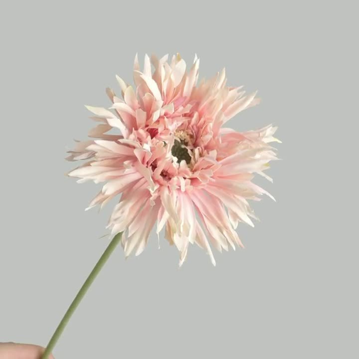 Zhuoou hot selling Gerbera single branch decorative daisy flowers 42cm cheap artificial  chrysanthemum for home decoration