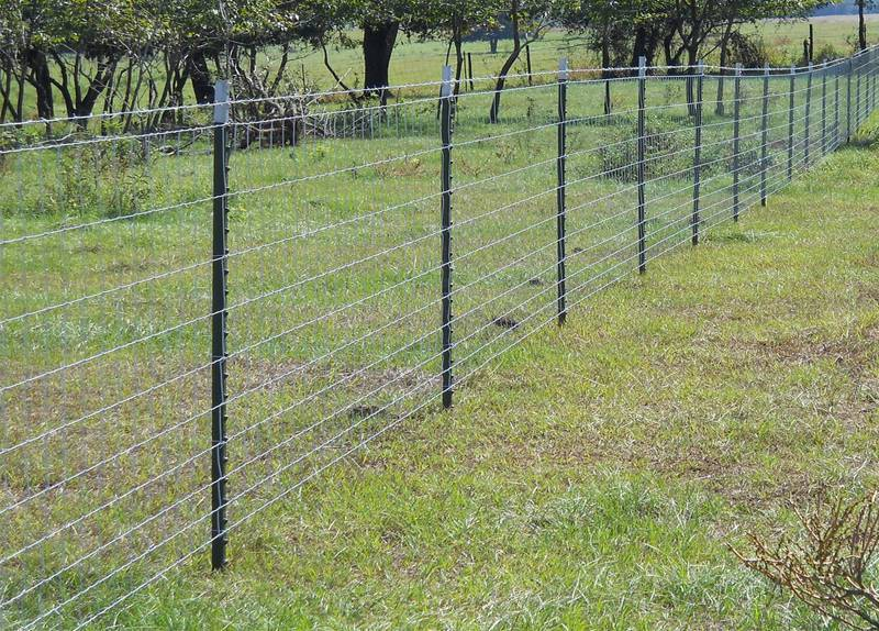 Cheap 4 Ft 5 Ft Goat Fencing Galvanized Farm Field Wire Mesh Cattle Fence Price