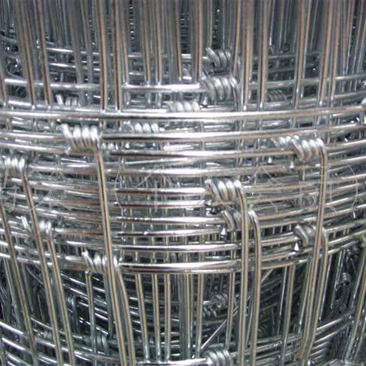 Factory direct sales cultivation sheep horse Cattle galvanized wild woven fencing iron wire field fence