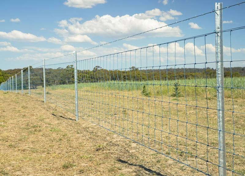 Cheap 4 Ft 5 Ft Goat Fencing Galvanized Farm Field Wire Mesh Cattle Fence Price