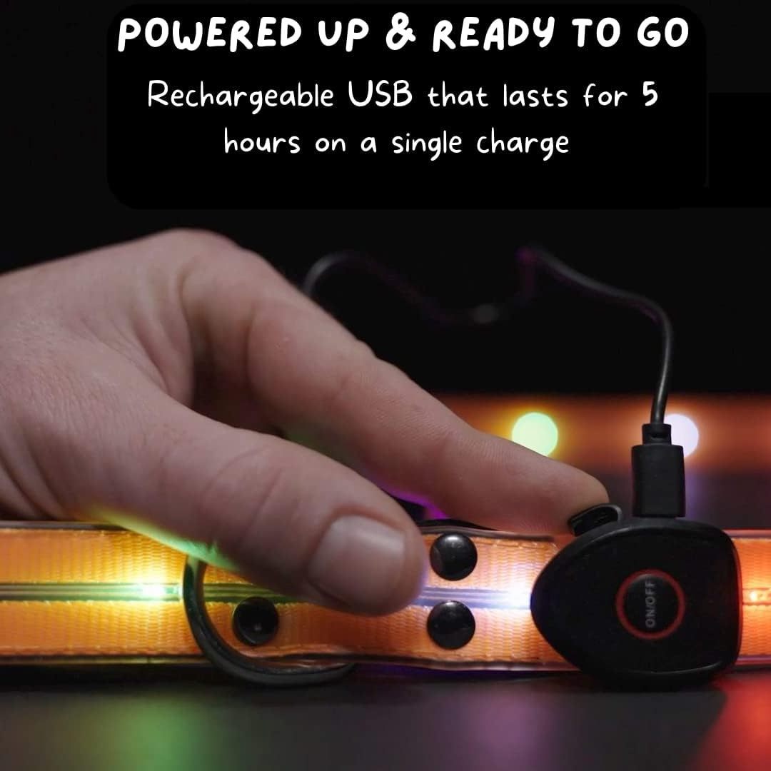 Light Up Dog Leash with Lights for Night Walking Lighted Dog Leashes Rechargeable Waterproof Led Dog Leash Glow in The Dark