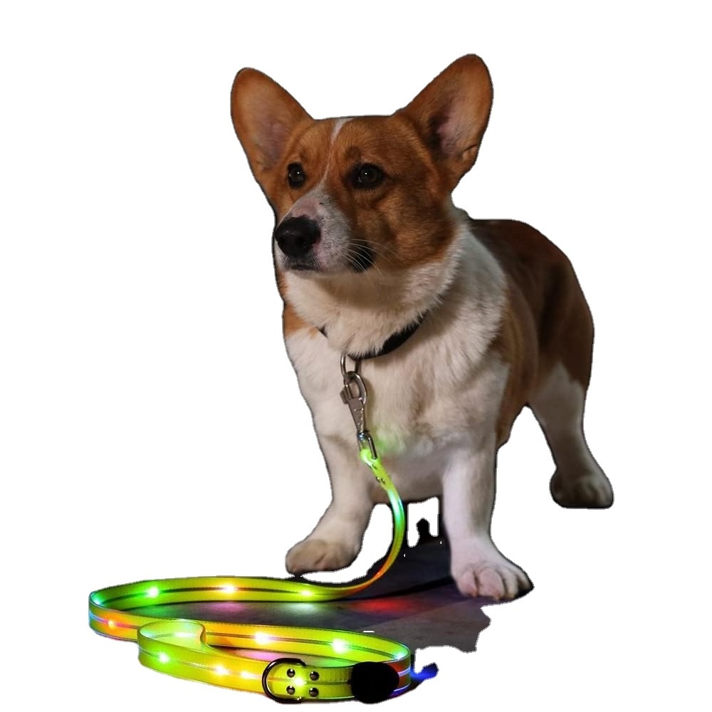 Light Up Dog Leash with Lights for Night Walking Lighted Dog Leashes Rechargeable Waterproof Led Dog Leash Glow in The Dark