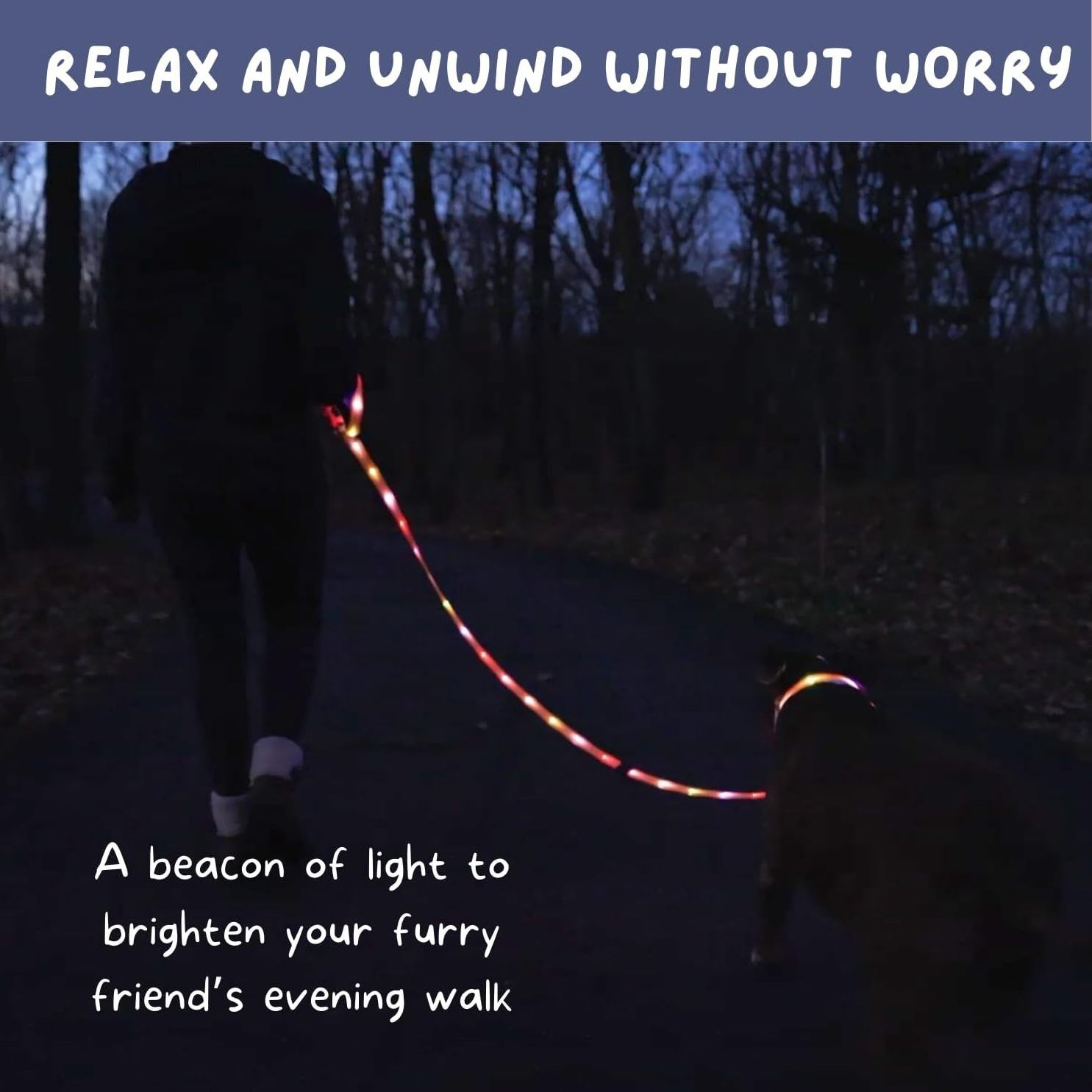 Light Up Dog Leash with Lights for Night Walking Lighted Dog Leashes Rechargeable Waterproof Led Dog Leash Glow in The Dark