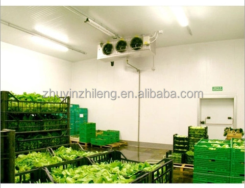 walk in freezer and chiller cold storage cooling room