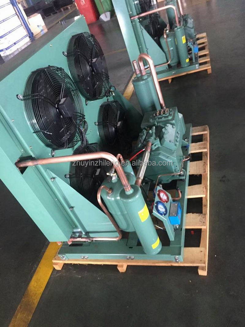 Customization walk in cooler condensing unit and evaporator