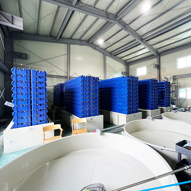 Wholesale price mud crab culture farming house boxes Factory wholesale crab farming boxes system equipment crab in box