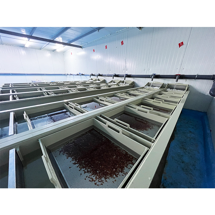 automatic fish hatchery equipment/fish egg incubator hatchery machine price/catfish hatchery ras system for sale