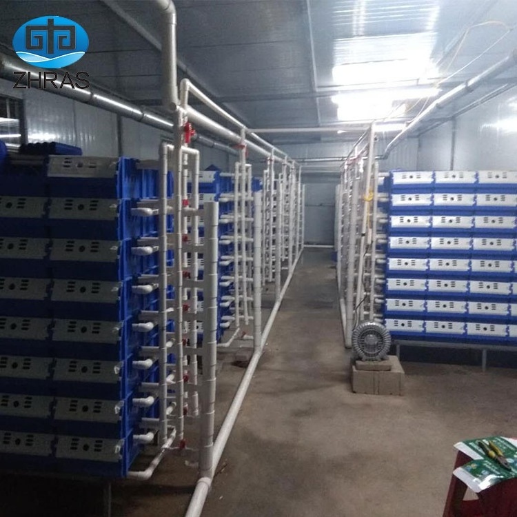 Wholesale price mud crab culture farming house boxes Factory wholesale crab farming boxes system equipment crab in box