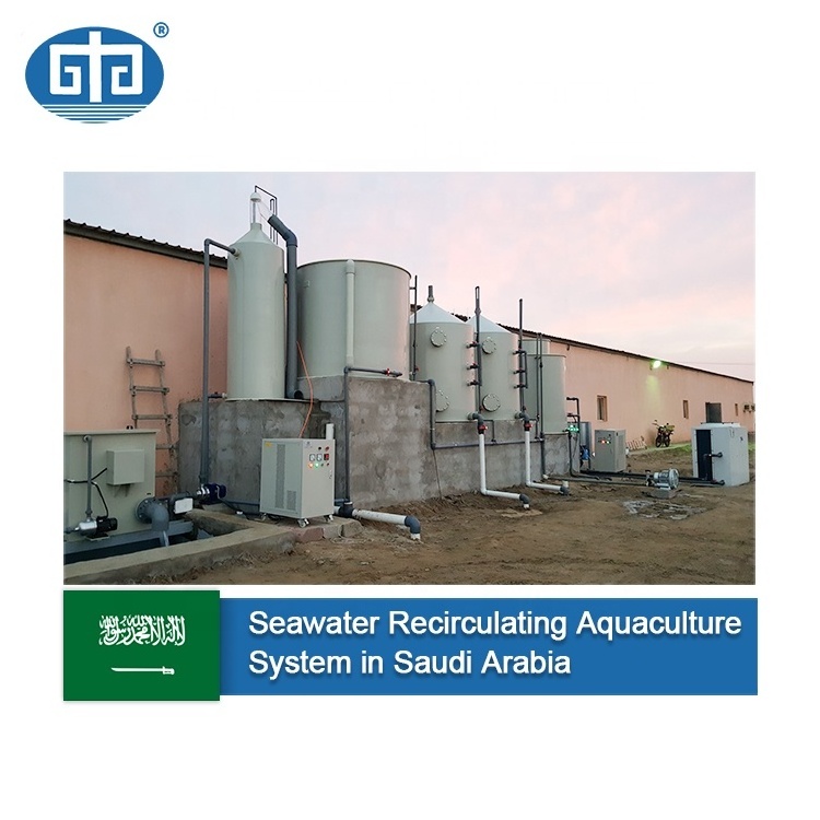 Saudi Arabia Indoor Ras/Shrimp Farming Equipment/Fish Farm Ras