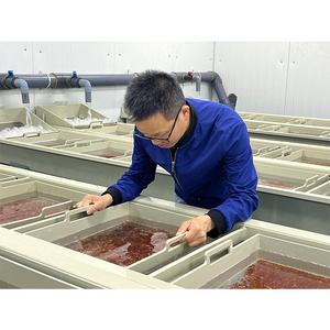 ras system tilapia fish egg incubators aquaculture equipment tanks for indoor fish farming system/fish hatchery equi