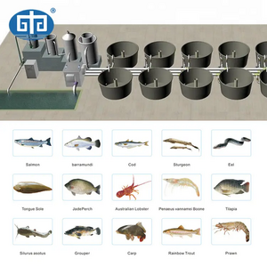 Aquaculture Sea Salt Betta Farm Fish,Crayfish Farming,Shrimp Farm Lobster