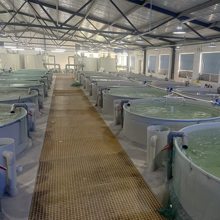 Aquaculture Sea Salt Betta Farm Fish,Crayfish Farming,Shrimp Farm Lobster